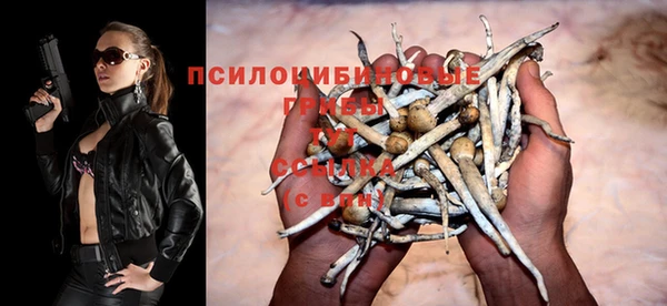 не бодяженный Беломорск